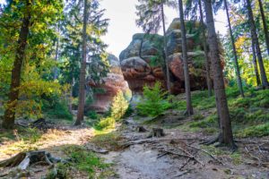 Die Kelchsteine in Oybin im Naturpark Zittauer Gebirge. Ein Waldpfad führt zu großen, geschichteten Sandsteinfelsen, die von hohen Bäumen umgeben sind. Das Sonnenlicht fällt durch die Äste und das grüne Laub auf dem Waldboden.