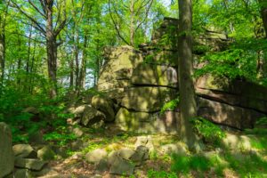 Große moosbewachsene Felsformation, bekannt als Schmiedesteine, umgeben von hohen Bäumen und üppigem grünen Laub in einem sonnenbeschienenen Wald bei Neusalza-Spremberg - ein perfektes Wanderziel mit verstreuten Felsen und gedämpften Sonnenlicht auf dem Boden.