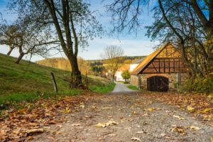 Durch Neusalza-Spremberg schlängelt sich ein unbefestigter Weg, der von herabgefallenen Herbstblättern gesäumt ist. Er führt zu einer rustikalen Holzscheune und weit entfernten Häusern, die alle inmitten von grasbewachsenen Hügeln und Bäumen unter einem strahlend blauen Himmel liegen.