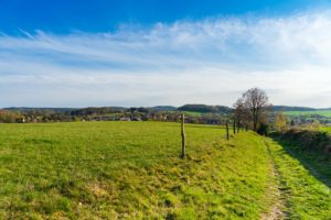 Eine grasbewachsene Wiese unter blauem Himmel mit vereinzelten Wolken in der Nähe von Neusalza-Spremberg in der Oberlausitz, gesäumt von einem Feldweg und Holzpfählen. Perfekt zum Wandern, mit Bäumen und fernen Häusern am Horizont, die das friedliche Landleben andeuten.