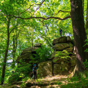 Zwei Menschen erkunden den sonnenbeschienenen Wald von Neusalza-Spremberg; einer steht auf den großen sagenumwobenen Schmiedesteinen, der andere unten, beide tragen Rucksäcke inmitten hoher Bäume und üppigen Laubes.