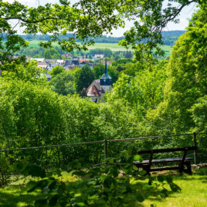 Im Schatten der Bäume am Oberlausitzer Bergweg steht eine Holzbank, die den Blick auf den Kirchturm von Neusalza-Spremberg freigibt, der inmitten von üppigem Grün und weit entfernten Feldern unter einem hellen, sonnigen Himmel steht.