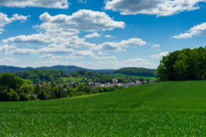 Eine saftig grüne Wiese erstreckt sich in Richtung von Neusalza-Spremberg, das zwischen sanften Hügeln und dichten Bäumen unter dem strahlend blauen Himmel am malerischen Oberlausitzer Bergweg liegt.