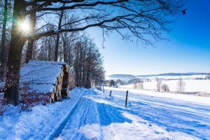 Winter in der Oberlausitz: Eine schneebedeckte Landschaft in der Nähe von Neusalza-Spremberg, mit einem Weg, der sich an aufgestapelten Baumstämmen vorbei durch den Wald schlängelt, mit Sonnenlicht, das durch kahle Äste fällt, und offenen Feldern, die sich unter einem klaren blauen Himmel bis zu den fernen Hügeln erstrecken. Perfekt für eine Winterwanderung.