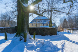 Ein großer Baum mit moosiger Rinde steht im Schnee neben einer Steinmauer in der Nähe der Ferienwohnungen vom Marktquartier 5 in Neusalza-Spremberg. Sonnenlicht scheint durch seine Äste. Unter einem klaren blauen Himmel sind ein gelbes Gebäude und ein schneebedeckter Weg zu sehen.