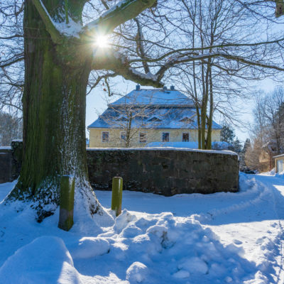 Ein großer Baum mit moosiger Rinde steht im Schnee neben einer Steinmauer in der Nähe der Ferienwohnungen vom Marktquartier 5 in Neusalza-Spremberg. Sonnenlicht scheint durch seine Äste. Unter einem klaren blauen Himmel sind ein gelbes Gebäude und ein schneebedeckter Weg zu sehen.