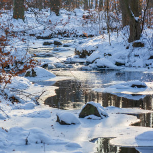 Ein ruhiger Bach fließt durch einen verschneiten Wald bei Neusalza-Spremberg, mit Eisflächen und schneebedeckten Felsen entlang des Wassers. Kahle Bäume säumen die Ufer, und das Sonnenlicht spiegelt sich in der malerischen Szenerie und schafft eine friedliche Winteratmosphäre im Spreepark in der Oberlausitz.