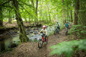 Drei Kinder fahren mit ihren Fahrrädern auf einem unbefestigten Weg neben der jungen Spree in einem üppigen, grünen Wald, dem Spreepark in Neusalza-Spremberg. Das vordere Kind trägt einen rosafarbenen Helm, und das Sonnenlicht fällt durch die Bäume darüber.
