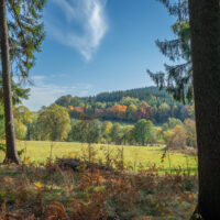 Ein malerischer Blick auf den Oberlausitzer Bergweg, perfekt für Wandern ohne Gepäck: eine grasbewachsene Wiese, umrahmt von hohen Kiefern, buntem Herbstlaub und einem bewaldeten Hügel im Hintergrund unter einem blauen Himmel mit Wolkenfetzen.