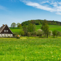 Ein Holzhaus mit weißen Fenstern steht neben einer Kiefer, umgeben von grünen Feldern und Wildblumen - eine idyllische Szene am Oberlausitzer Bergweg ohne Gepäck, mit sanften Hügeln und einem blauen Himmel im Hintergrund.
