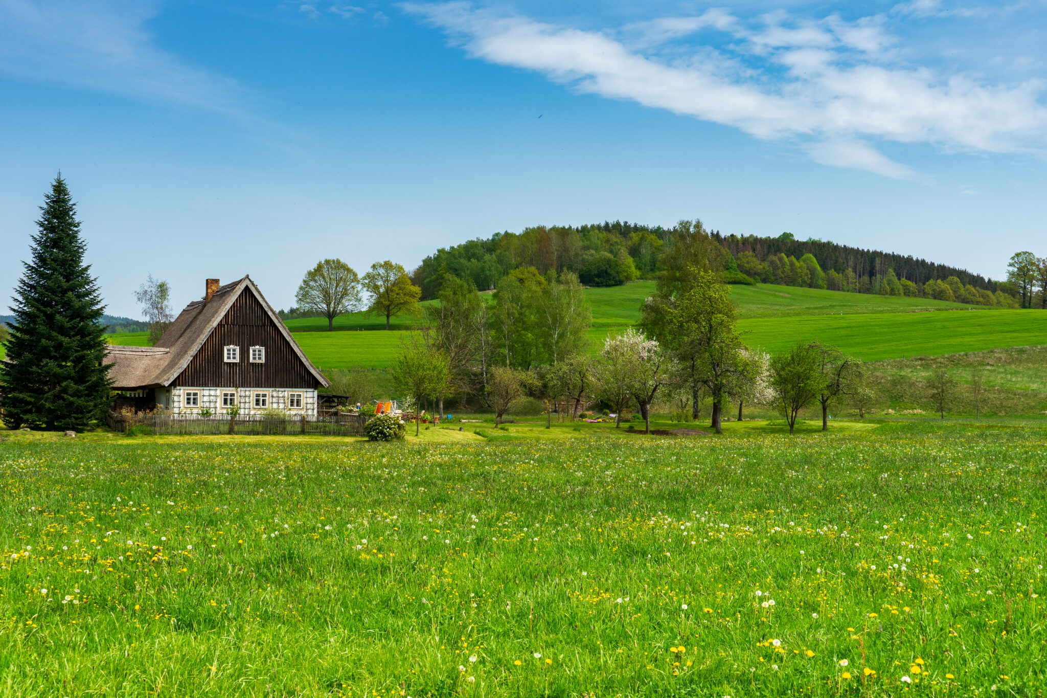 Ein Holzhaus mit weißen Fenstern steht neben einer Kiefer, umgeben von grünen Feldern und Wildblumen - eine idyllische Szene am Oberlausitzer Bergweg ohne Gepäck, mit sanften Hügeln und einem blauen Himmel im Hintergrund.