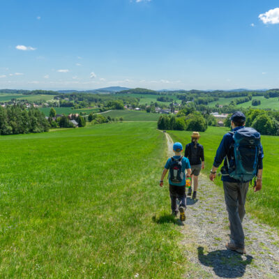 Drei Personen, zwei Erwachsene und ein Kind, wandern auf einem Kiesweg durch eine grüne Wiese unter strahlend blauem Himmel in der Nähe der Ferienwohnungen Oberlausitz, in der Ferne sind Bäume und ein Dorf zu sehen - perfekt für Eure Auszeit im Marktquartier 5.