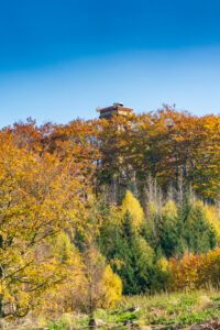 Ein Aussichtsturm erhebt sich über den farbenfrohen Herbstbäumen unter einem klaren blauen Himmel, während im Wald darunter grünes, gelbes und oranges Laub zu sehen ist.