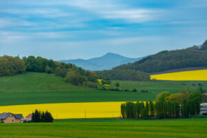 Eine malerische Landschaft mit grünen und gelben Feldern, Baumgruppen, kleinen Häusern und sanften Hügeln unter einem teilweise bewölkten Himmel, mit einem entfernten Berg, dem Jeschken, im Hintergrund. Wandern im Frühling auf dem Oberlausitzer Bergweg.