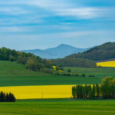 Eine malerische Landschaft mit grünen und gelben Feldern, Baumgruppen, kleinen Häusern und sanften Hügeln unter einem teilweise bewölkten Himmel, mit einem entfernten Berg, dem Jeschken, im Hintergrund. Wandern im Frühling auf dem Oberlausitzer Bergweg.