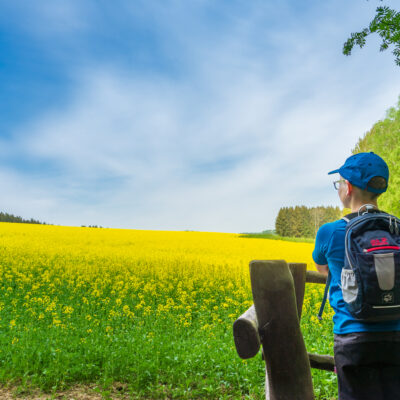 Ein Junge mit blauem Hemd, Mütze und Rucksack steht an einem Holzzaun und blickt auf ein leuchtend gelbes Blumenfeld am Oberlausitzer Bergweg ohne Gepäck, mit einem Wald und blauem Himmel im Hintergrund.
