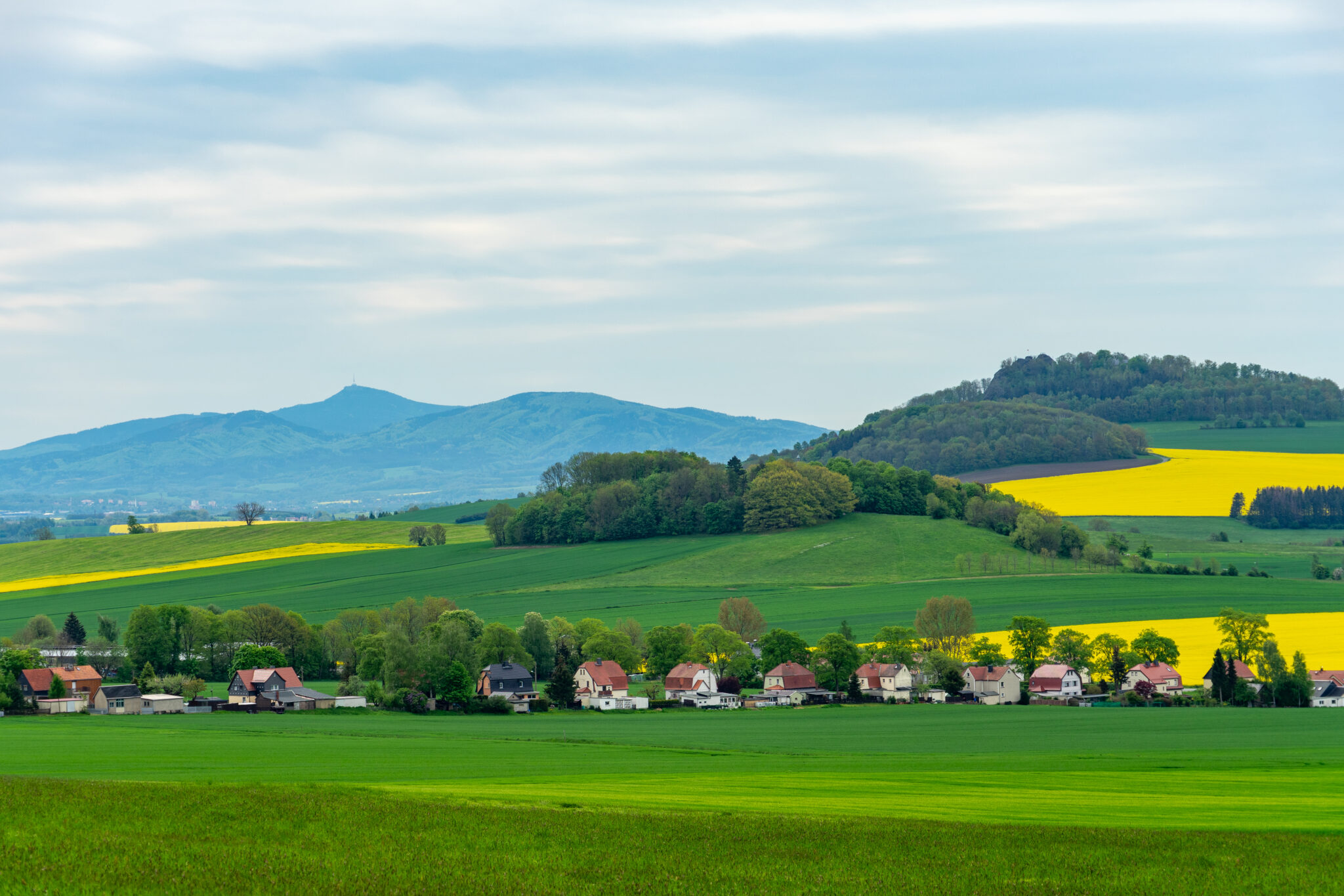 Eine ländliche Landschaft in der Oberlausitz, Blick auf den Jeschken, mit grünen Feldern, gelb blühenden Pflanzen, einer Reihe von Häusern, baumbewachsenen Hügeln und entfernten blauen Bergen unter einem bewölkten Himmel. Auf dem Oberlausitzer Bergweg, wandern ohne Gepäck, in Eibau am Kottmar.