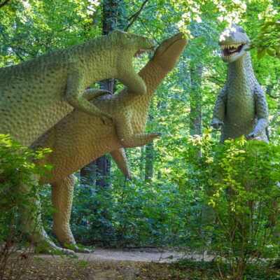 In einem Wald in der Oberlausitz sind drei lebensgroße Dinosaurierstatuen ausgestellt. Ein grüner Dinosaurier scheint einen hellbraunen Dinosaurier anzugreifen, während ein dritter mit offenem Maul daneben steht – ideal für Abenteuer-Tipps an heißen Tagen!.