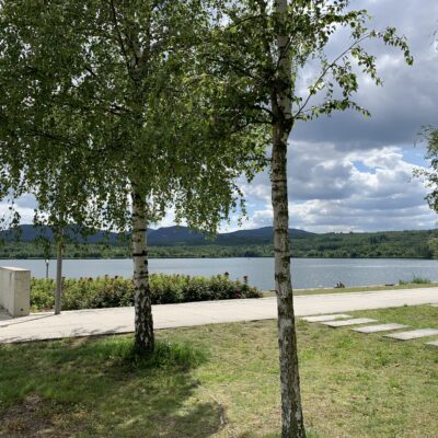 Zwei Birken stehen auf einer Rasenfläche neben einem Spazierweg am See – ideal für heiße Tage in der Oberlausitz. Grüne Hügel und ein bewölkter blauer Himmel bilden die Kulisse, und am Ufer steht ein blauer Mülleimer zu Ihrer Bequemlichkeit bereit.