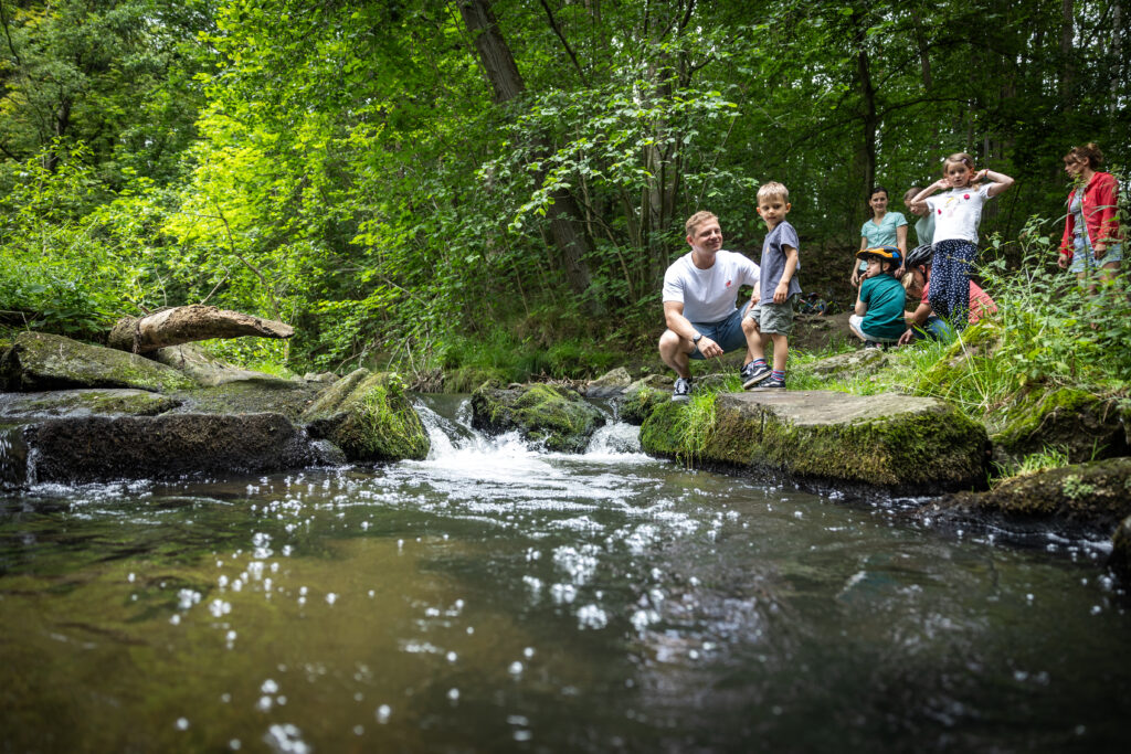 Eine Gruppe von Kindern und ein Erwachsener versammeln sich an einem kleinen, felsigen Bach im üppig grünen Wald der Oberlausitz, lächeln und erkunden gemeinsam die Natur – ein perfekter Ort, um an einem sonnigen Tag „Tipps für heiße Tage“ zu genießen.