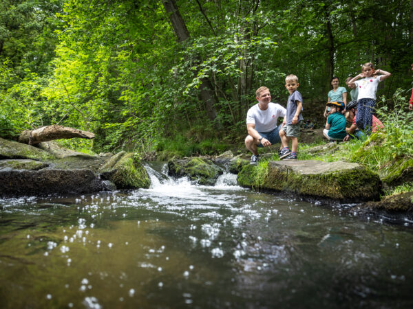 Eine Gruppe von Kindern und ein Erwachsener versammeln sich an einem kleinen, felsigen Bach im üppig grünen Wald der Oberlausitz, lächeln und erkunden gemeinsam die Natur – ein perfekter Ort, um an einem sonnigen Tag „Tipps für heiße Tage“ zu genießen.